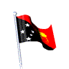 the flag